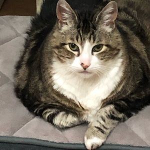 Meet your Posher, Tim